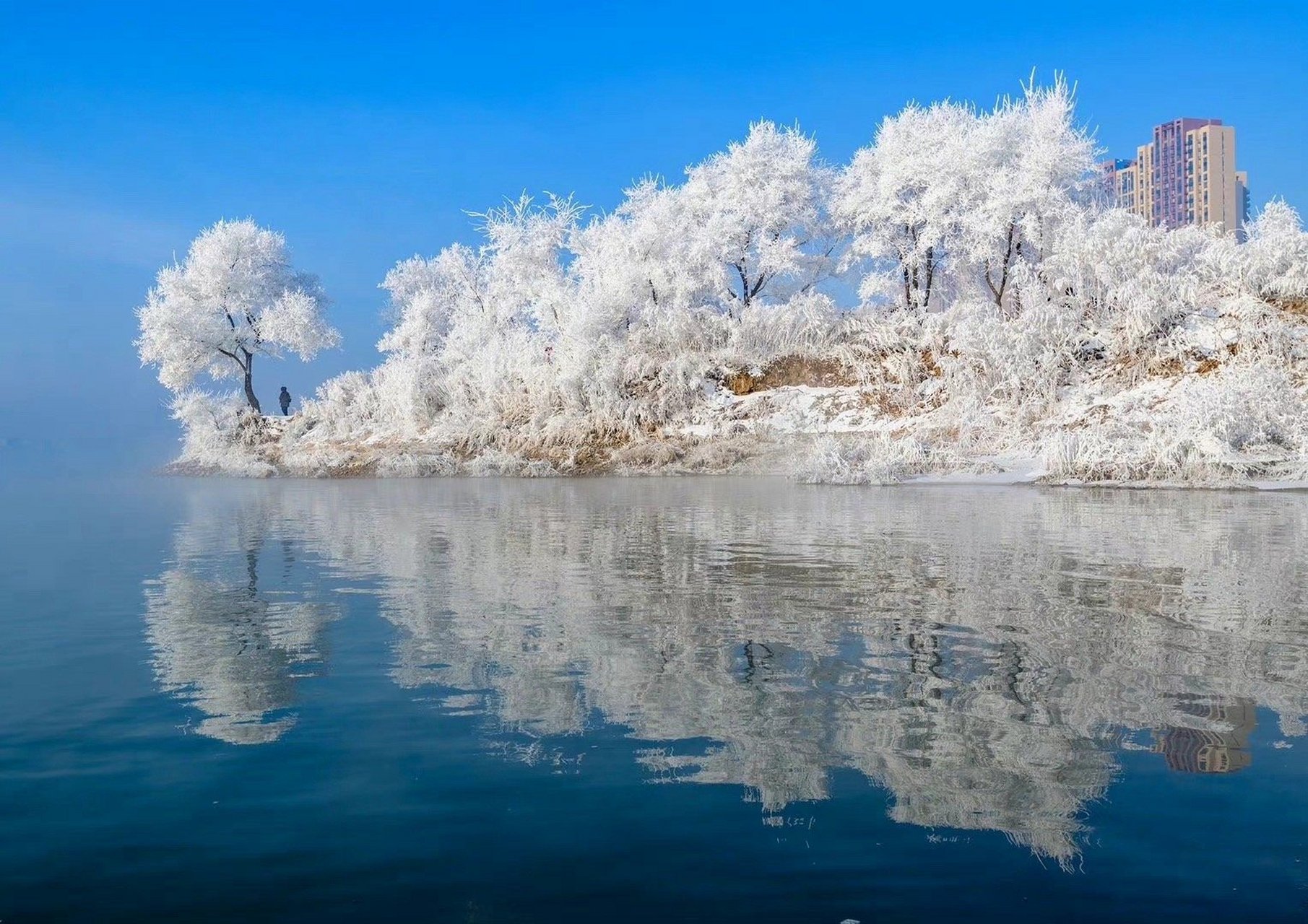吉林，初学者与进阶用户适用的任务完成与技能学习指南