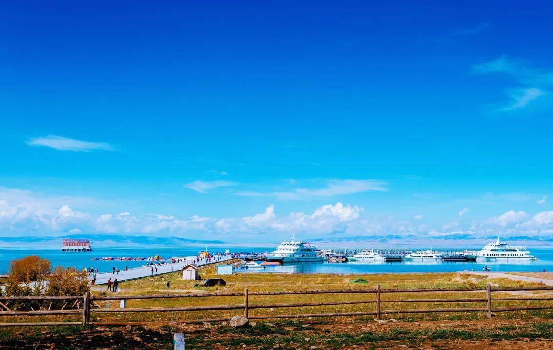 青海之旅，趣事友情闪耀高原日常