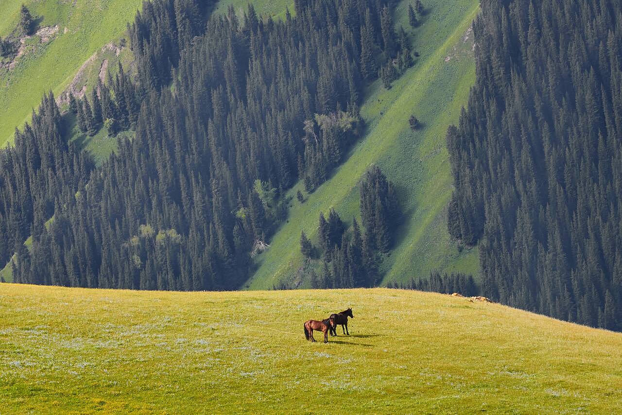 新疆，多元文化融合与和谐共生的样本之地